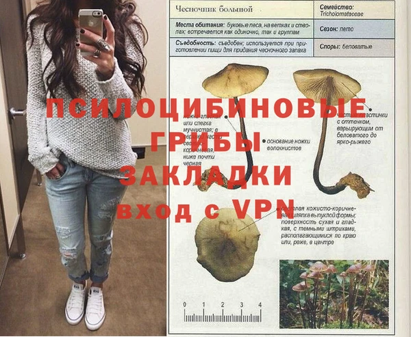 скорость Балахна