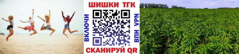 Бошки марихуана планчик  сколько стоит  Олонец 